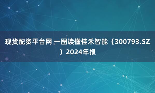 现货配资平台网 一图读懂佳禾智能（300793.SZ）2024年报