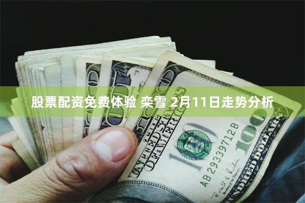 股票配资免费体验 栾雪 2月11日走势分析