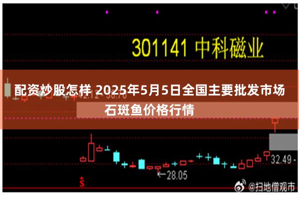 配资炒股怎样 2025年5月5日全国主要批发市场石斑鱼价格行情