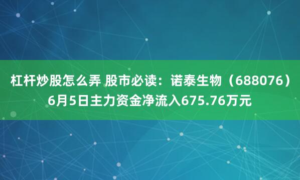 杠杆炒股怎么弄 股市必读：诺泰生物（688076）6月5日主力资金净流入675.76万元