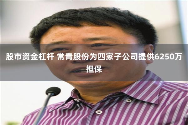 股市资金杠杆 常青股份为四家子公司提供6250万担保