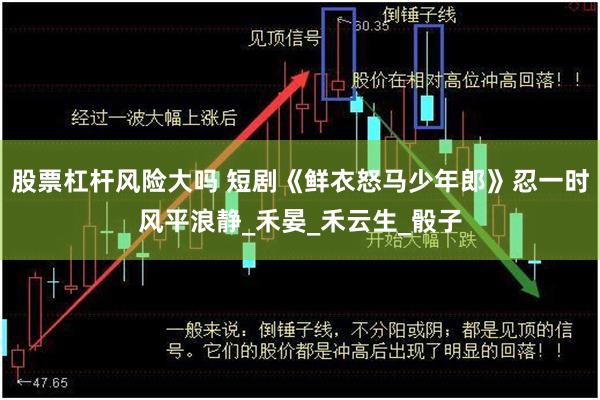 股票杠杆风险大吗 短剧《鲜衣怒马少年郎》忍一时风平浪静_禾晏_禾云生_骰子