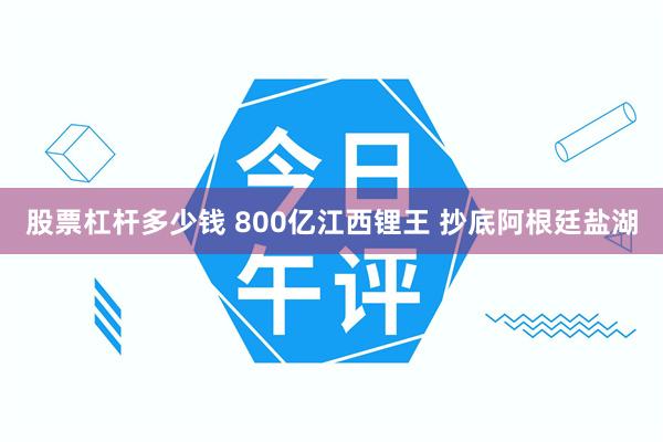 股票杠杆多少钱 800亿江西锂王 抄底阿根廷盐湖
