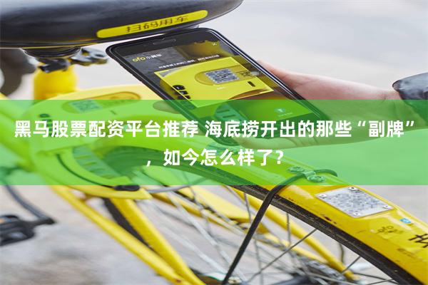 黑马股票配资平台推荐 海底捞开出的那些“副牌”，如今怎么样了？