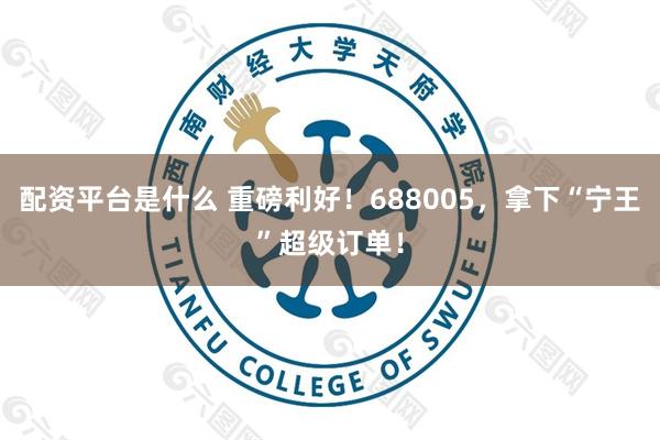 配资平台是什么 重磅利好!688005,拿下“宁王”超级订单!