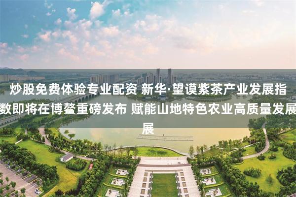 炒股免费体验专业配资 新华·望谟紫茶产业发展指数即将在博鳌重磅发布 赋能山地特色农业高质量发展